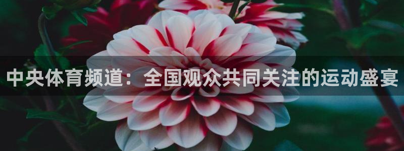 中央体育频道：全国观众共同关注的运动盛宴