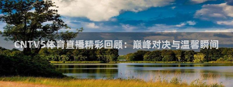 CNTV5体育直播精彩回顾：巅峰对决与温馨瞬间