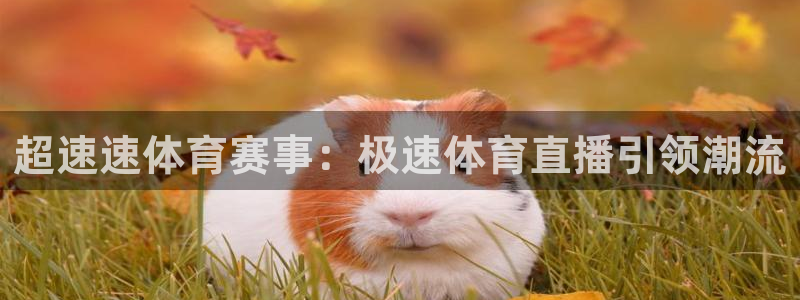 超速速体育赛事：极速体育直播引领潮流