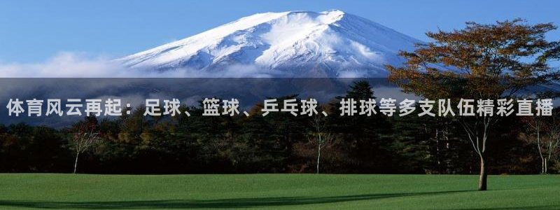 体育风云再起：足球、篮球、乒乓球、排球等多支队伍精彩直播