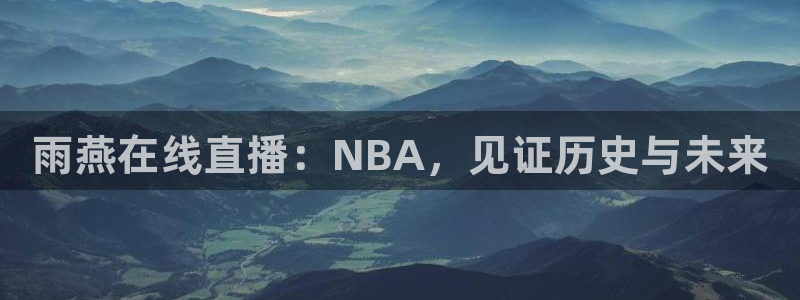 雨燕在线直播：NBA，见证历史与未来