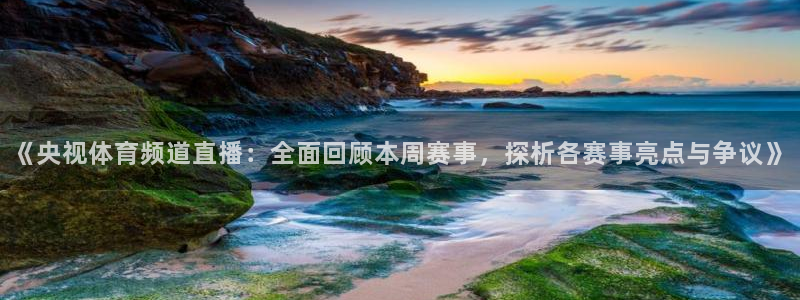 《央视体育频道直播：全面回顾本周赛事，探析各赛事亮点与争议》