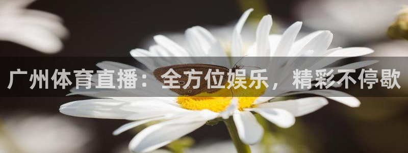 广州体育直播：全方位娱乐，精彩不停歇