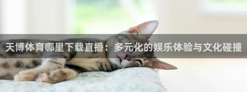 天博体育哪里下载直播：多元化的娱乐体验与文化碰撞