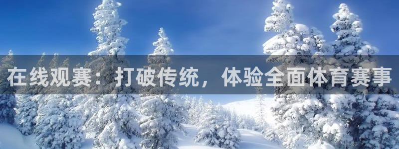 在线观赛：打破传统，体验全面体育赛事