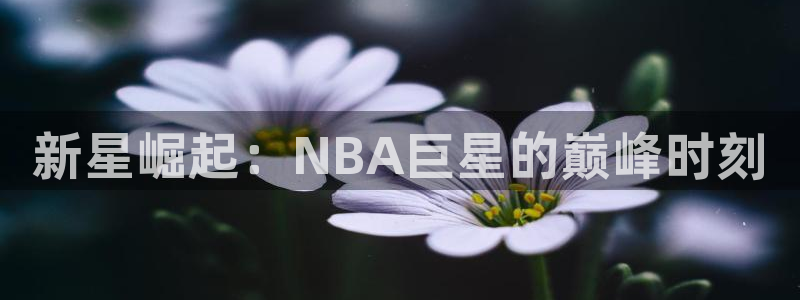 新星崛起：NBA巨星的巅峰时刻