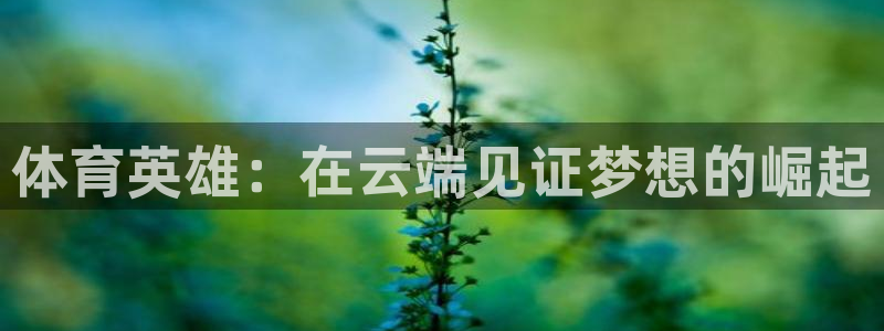 体育英雄：在云端见证梦想的崛起