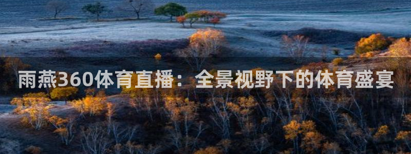 雨燕360体育直播：全景视野下的体育盛宴