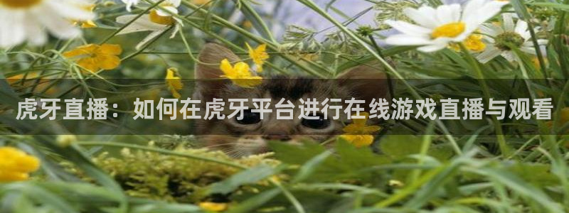 虎牙直播：如何在虎牙平台进行在线游戏直播与观看