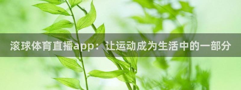 滚球体育直播app：让运动成为生活中的一部分