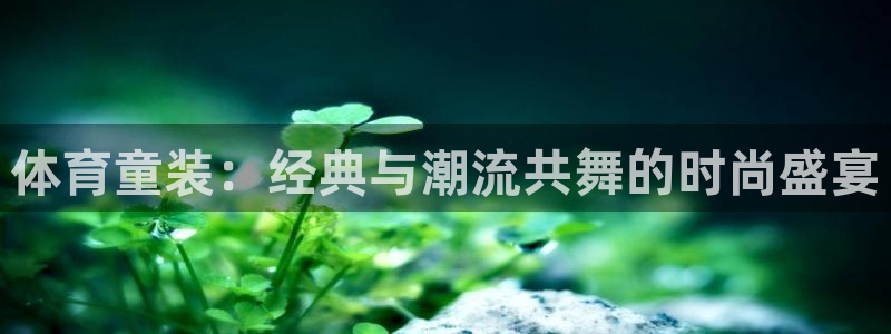 体育童装：经典与潮流共舞的时尚盛宴