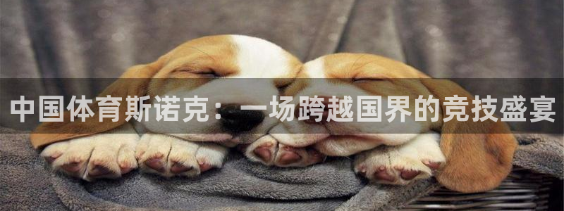 中国体育斯诺克：一场跨越国界的竞技盛宴