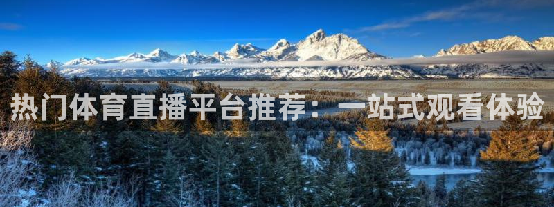 热门体育直播平台推荐：一站式观看体验