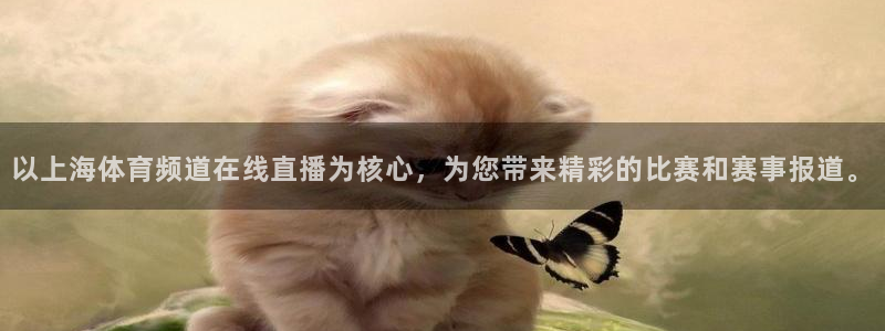 以上海体育频道在线直播为核心，为您带来精彩的比赛和赛事报道。