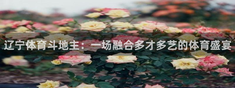 辽宁体育斗地主：一场融合多才多艺的体育盛宴