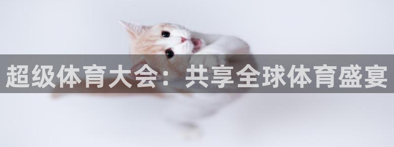 超级体育大会：共享全球体育盛宴
