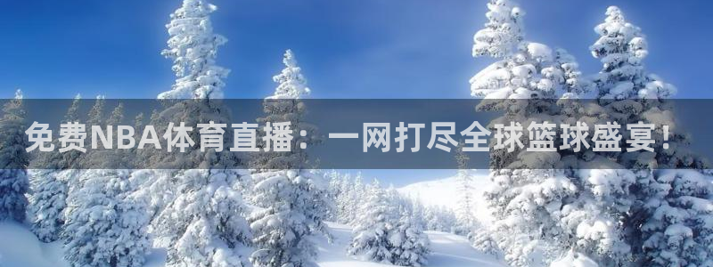 免费NBA体育直播：一网打尽全球篮球盛宴！