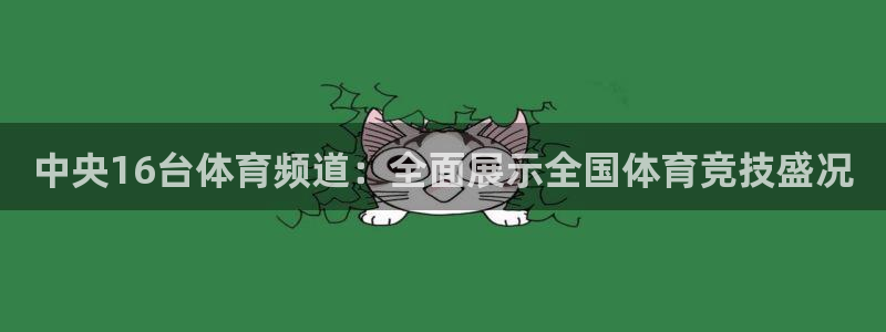 中央16台体育频道：全面展示全国体育竞技盛况