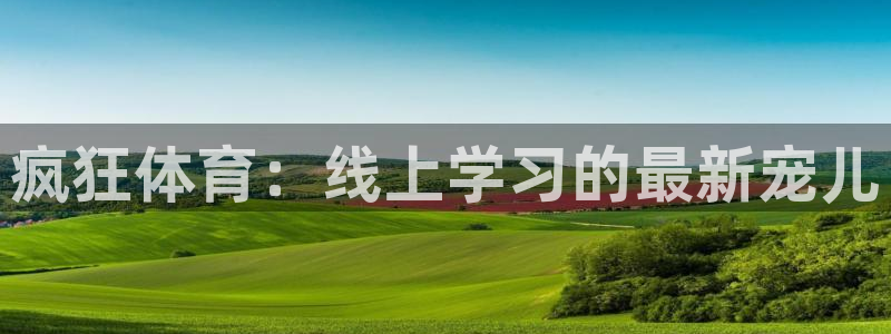 疯狂体育：线上学习的最新宠儿