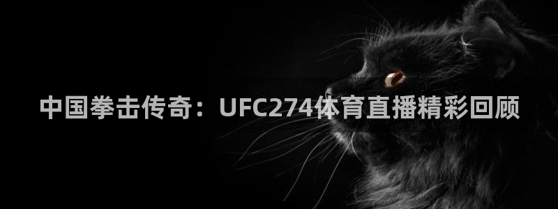 中国拳击传奇：UFC274体育直播精彩回顾