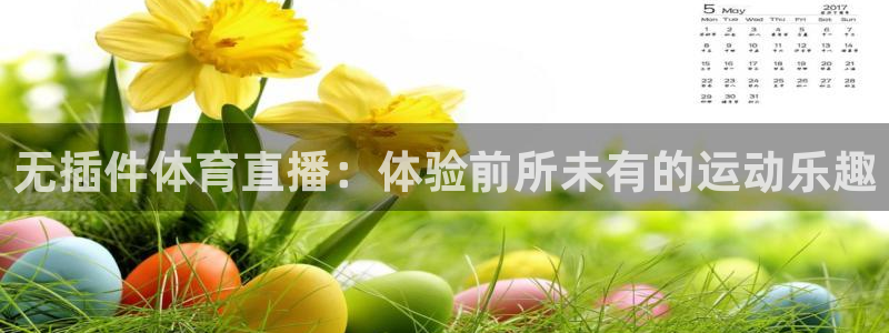无插件体育直播：体验前所未有的运动乐趣