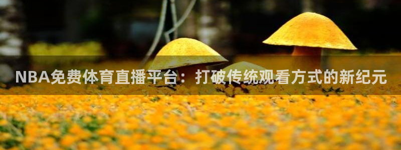 NBA免费体育直播平台：打破传统观看方式的新纪元
