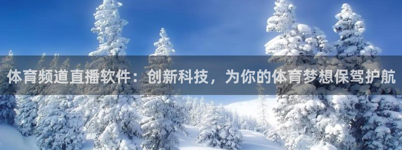 体育频道直播软件：创新科技，为你的体育梦想保驾护航