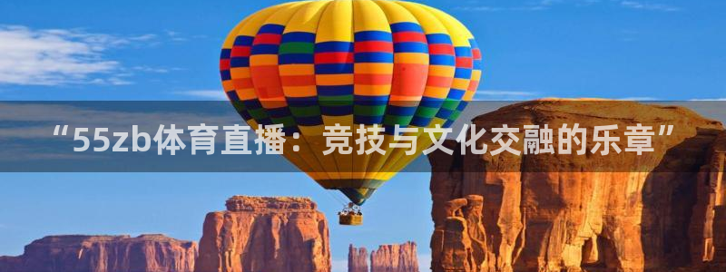 “55zb体育直播：竞技与文化交融的乐章”