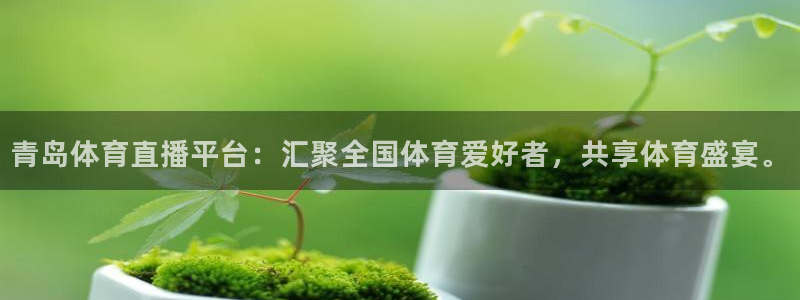 青岛体育直播平台：汇聚全国体育爱好者，共享体育盛宴。