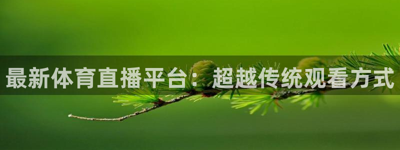 最新体育直播平台：超越传统观看方式