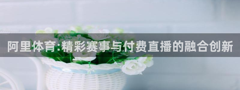 阿里体育:精彩赛事与付费直播的融合创新