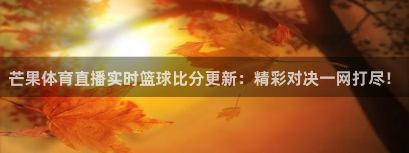 芒果体育直播实时篮球比分更新：精彩对决一网打尽！