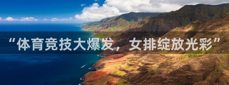 “体育竞技大爆发，女排绽放光彩”